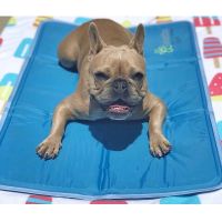 Green Pet Shop - Cool Pet Pad Bed