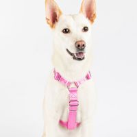 ppark i-Series "H" Dog Harness Fluorescent Pink L