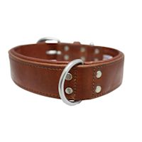 Angel Dallas Designer Leather Dog Collar 18" x 3/4"