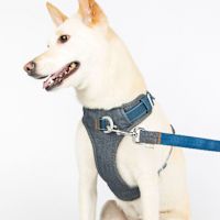 ppark AirFit Front-Clip Dog Harness Navy Denim S