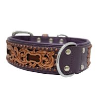 Angel San Antonio Designer Leather Dog Collar
