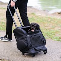 Gen7Pets Geometric Roller Pet Carrier Large Black Geometric