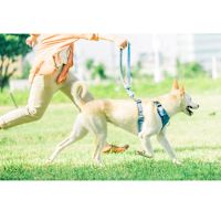 ppark AirFit Denim 2-Way Dog Leash