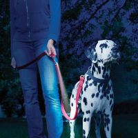Nite Ize - LeashLit LED Micro Flashlight