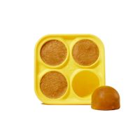 Woof Pet Dog Pupsicle Frozen Treat Mold Tray S