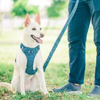 ppark AirFit Shock-Absorbing Dog Leash Red Denim 1.5 cm (S/M)