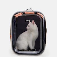 Pidan Backpack Cat Carrier