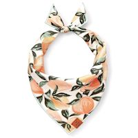 Handmade in USA Dog Bandana - Peaches and Cream S 13"