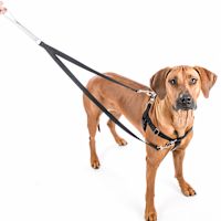 2 Hounds Freedom No-Pull Dog Harness - Reflective Red XS 5/8"