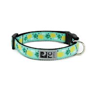 RC Pets Clip Collar Pineapple Parade S 3/4"
