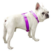 ppark i-Series "H" Dog Harness Mulberry XL