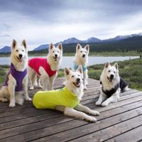 RC Pets Baseline Fleece Dog Pullover