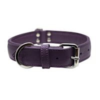 Angel Classic Alpine Plain Leather Dog Collars Orchid Purple 22" x 1"