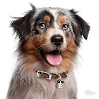 My Family Custom Pet ID Tags - Friends Australian Shepherd