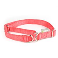 ppark i-Series 2-Way Martingale Dog Collar Salmon XL