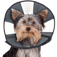 Zenpet Comfy Dog e-Collar - ZenCone Pro Cone 