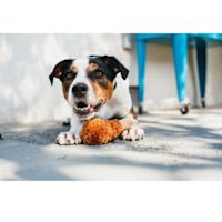 PLAY Dog Toy - Fried Chicken  Medium