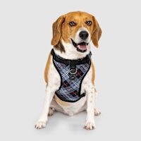 Canada Pooch Everything Water-Resistant Dog Harness Plaid S