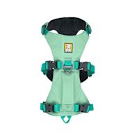 Ruffwear Flagline Dog Harness with Handle Sage Green XXS