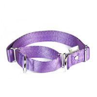 ppark i-Series 2-Way Martingale Dog Collar Violet XL