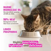 Rawz Cat Food Pate Cans - Lower Phosphorus Beef 5.5 oz Single