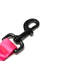 Woof Concept Waterproof Dog Leash - Cosmopolitan