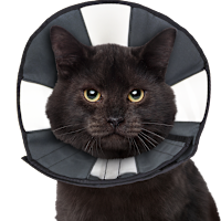 Zenpet Comfy Dog e-Collar - ZenCone Pro Cone 
