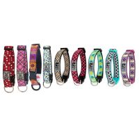 RC Pets Clip Collar
