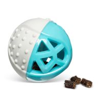 Messy Mutts Totally Pooched Catch n' Squeak Ball Dog Toy Teal