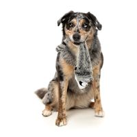 FuzzYard Plush Dog Toy - The Yeetz Run Along Racoon