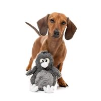 FuzzYard Plush Dog Toy - Danny Devicrow