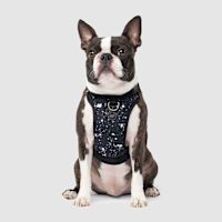 Canada Pooch Everything Water-Resistant Dog Harness Splatter L