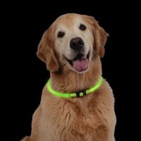 Nite Ize - NiteHowl LED Safety Dog Necklace Collar