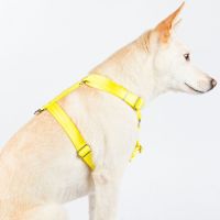 ppark i-Series "H" Dog Harness Yellow XL
