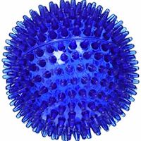Petsport Gorilla Dog Ball Toy (colors may vary) L