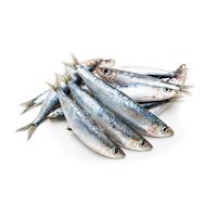Iron Will Raw Frozen Raw Sardines 1lb