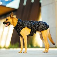 Canada Pooch The Expedition 2.0 Dog Winter Coat - Reflective