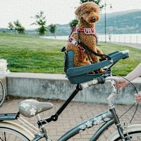 Buddyrider Dog Bicycle Pet Seat / Carrier 2.0 w/ Flex Arm