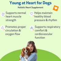 Pet Wellbeing - Young at Heart for Dogs 2 oz