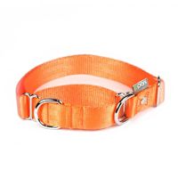 ppark i-Series 2-Way Martingale Dog Collar Orange M