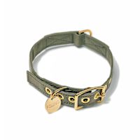 Found My Animal Canvas Collar for Dogs & Cats - Olive S
