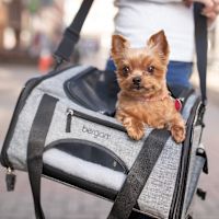 Bergan Booster Dog Carrier - Grey