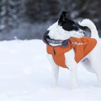 RC Pets Cascade Dog Coat