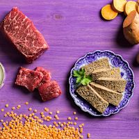 Fromm Cat Wet Food - Four Star Beef & Venison Pate 5.5 oz Case of 12
