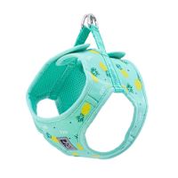 RC Pets Step-In Cirque Harness Pineapple Parade XS