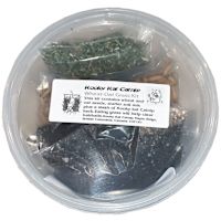 Kooky Kat Grow Your Own Wheat & Oat Cat Grass Kit w/ Soil