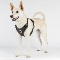 ppark AirFit Front-Clip Dog Harness