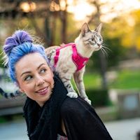 RC Pets - Adventure Kitty Cat Harness Black L