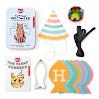Kikkerland Kiko Cat Birthday Party Kit