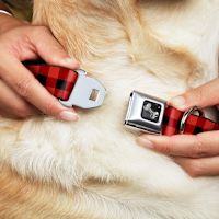 Buckle-Down Dog Bone Aviation Seatbelt Buckle Dog Collar - Buffalo Plaid Red Medium 1"